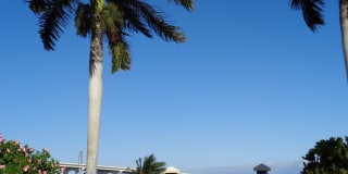 Vero Beach Rentals. Vero Beach Rent, LLC and Property Management Company Vero Beach Rentals. Vero Beach Rent, LLC and Property Management Company Gallery 54