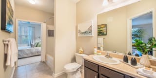 Element Carolina Bay Element Carolina Bay Gallery 30