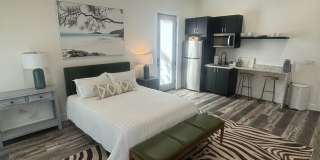 1Bd/1Ba in the HEART of Midtown! FULLY FURNISHED! Perfect for travelling Nurses or Students! Gallery 4