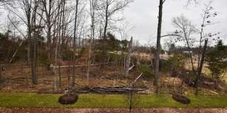 42452 DOGWOOD GLEN Square Gallery 23