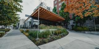 Leva on Market Gallery 32