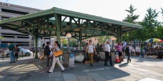 Windsor at Liberty House Gallery 38