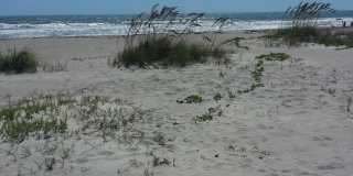 965 Date Avenue Gallery 4