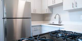 Timberlane Gallery 15