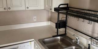 1/1 Lakefront Living in Carrollwood! Available July 10th! Gallery 6