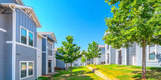 Boulevard at Lakeside Gallery 29