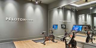Chamberlain House Gallery 17