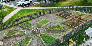 Village Green Gallery 25