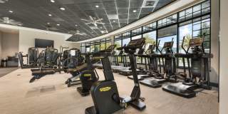 11130 Town View Court Gallery 52