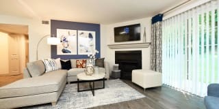 The Everly Gallery 5