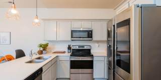 GET $500 OFF THE FIRST MONTHS RENT!!! Gallery 6