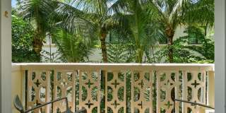 227 Brazilian Avenue Gallery 18