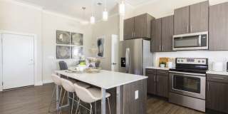 The Mayfair Gallery 7