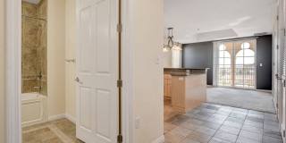 Boca Raton Gallery 23