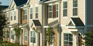 6599 Arching Branch Circle Gallery 1