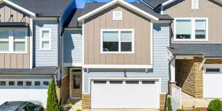 Modern Townhome in Highly Sought-After Briar Chapel! Gallery 1