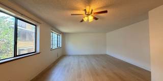 Olive Trees Apartments Gallery 10