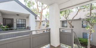 Oak Tree Court Gallery 23