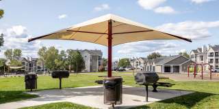 Pines at Castle Rock Gallery 7