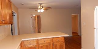 Walk to FSU! 4/2 w/ 2 Living Spaces, Wood Floors, Large Yard, & Washer/Dryer! Avail Aug 6th for $1825/month! Gallery 7