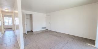 Orchard Gardens  (OG) Gallery 4