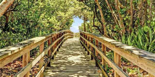 309 Oak St Gallery 88