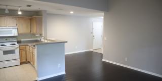 7701 Timberlin ParkUnit # 1637 Gallery 4