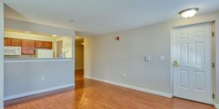 North Market/South Carroll Apartments Gallery 14
