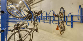 The Asher Gallery 21