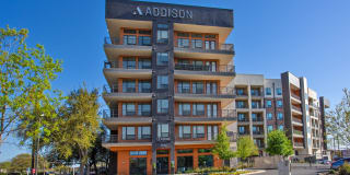 Addison Medical Center Apartments Gallery 1