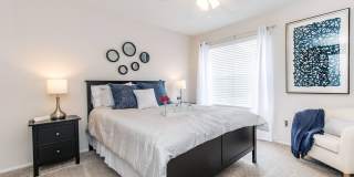 Autumn Wood Gallery 5