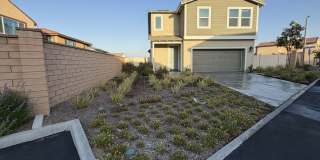 36594 Camino Springs Avenue Gallery 1