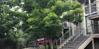 382 Glenn St Gallery 2