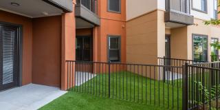 Citron at the Packing District Gallery 21