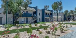 Rise Camelback Gallery 47