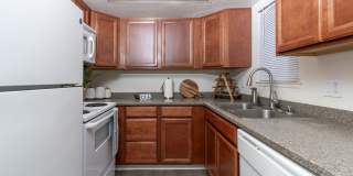 Citrus Place Gallery 4