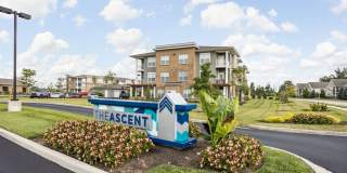 The Ascent Plainfield Gallery 39