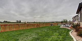 Wonderful Upgraded Home in Timnath Ranch Gallery 21