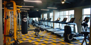 Encore at Forest Park Gallery 21