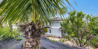 Flexible 6-Month Lease--Solar-Powered Wailuku Home with Ocean views, Fruit Trees, Split AC & Dog-Friendly! Flexible 6-Month Lease--Solar-Powered Wailuku Home with Ocean views, Fruit Trees, Split AC & Dog-Friendly! Gallery 28