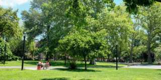 5 Delavan Street Gallery 8