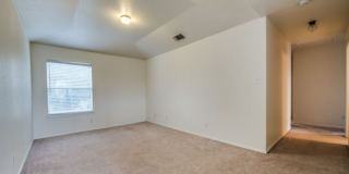 8514 Collingwood Gallery 9