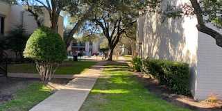 Madeira Apartments Gallery 15