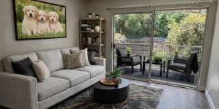 Garden View Gallery 7