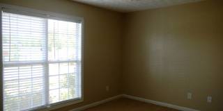 8028 Garrett Pines Dr Gallery 14