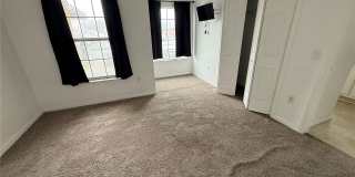 2918 BLOOMING ALAMANDA Loop Gallery 19