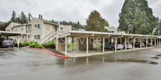 Large condo w/ sauna Gallery 1