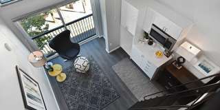 Novo Novo Gallery 17