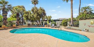 37210 N Tranquil Trail Gallery 34