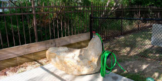 Estate Villas at Krum Gallery 25